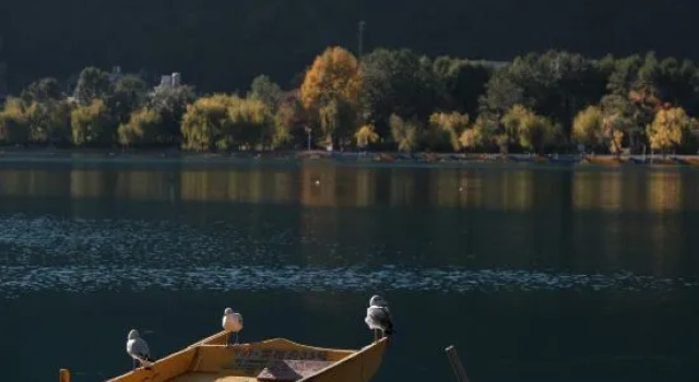 Yan sit lake view luxury B&B (Lugu Lake pig trough boat tour lake big falling water village store), Prenota Bed & breakfast Hotel a Lijiang con parcheggio, Parcheggio