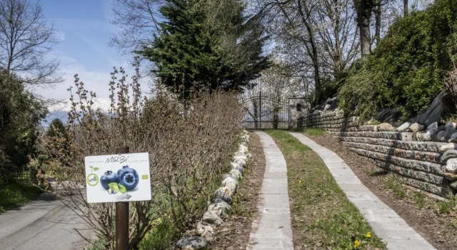 Monolocale B&B Il Mirtillo