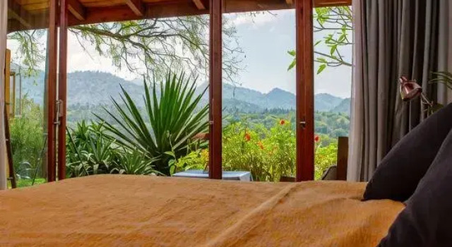 Номер Standard Bougainvillea Retreat