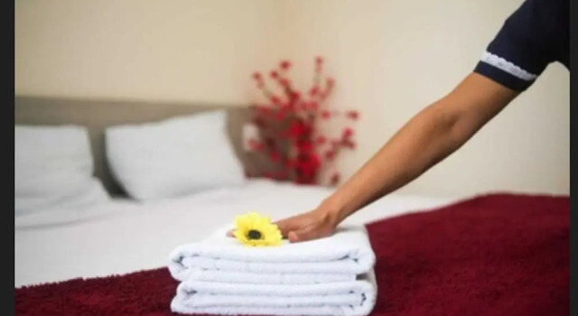 Одноместный номер Standard Hotel Terra Preta