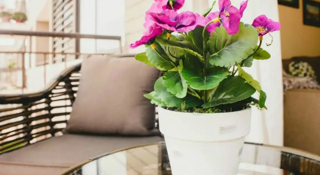 Апартаменты с 3 комнатами с балконом Peru Apartments 4 Rent