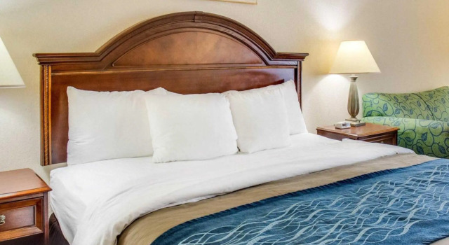 Люкс c 1 комнатой Quality Inn & Suites Olde Town