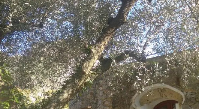 Agriturismo LE CASE ROTTE, Buchen Sie Hotel Balestrino Ligurien