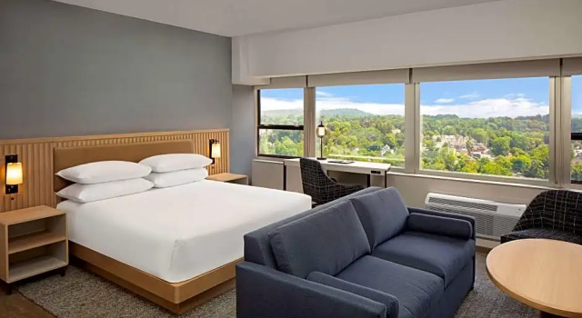 Двухместная Studio Suite Hyatt Regency Morristown