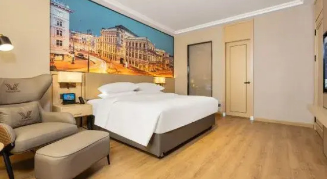 Люкс Business Vienna International Hotel (Luzhou Lumen Avenue)