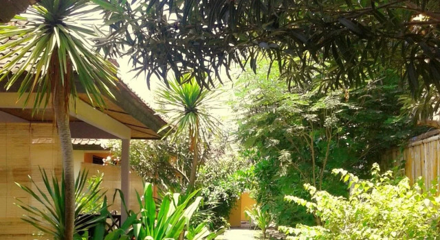 Funnyhomestay3, Забронировать Отель Отели Гилей Траванган с завтраком, рядом с Turtle Conservation Gili Trawangan, Завтраки