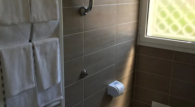 Двухместный номер Standard с балконом и с видом на сад Hotel Astoria