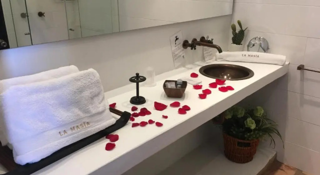 Двухместный номер Superior La Masia Hotel Boutique