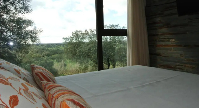 Номер Standard Дуплекс Hotel Parque de Monfragüe