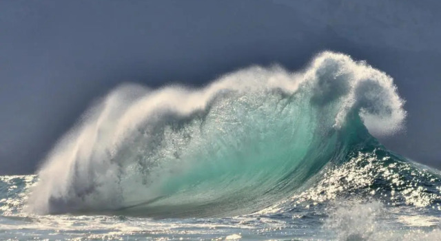La Surferia