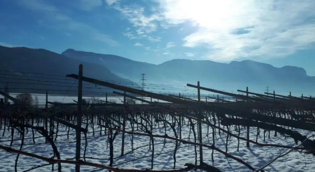 Weingut Weidlhof - Suite & Breakfast - Vacation for wine lovers, Забронировать Отель «постель и завтрак» Кальдаро Lake Caldaro