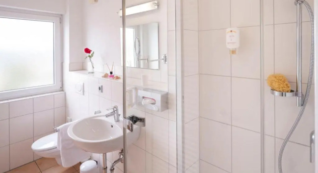 Номер Standard Hotel Berkheimer Hof