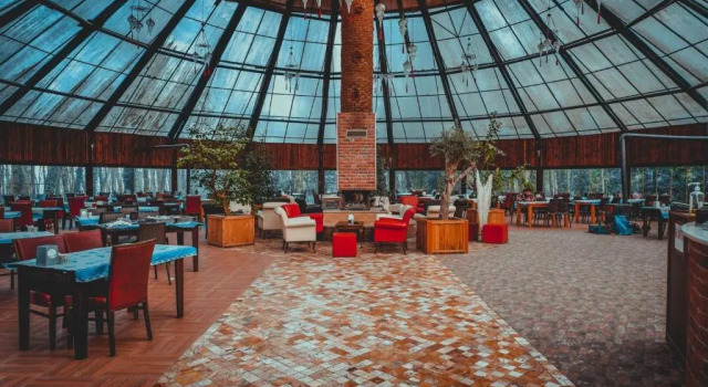 Номер Standard Meselik Park Bungalov