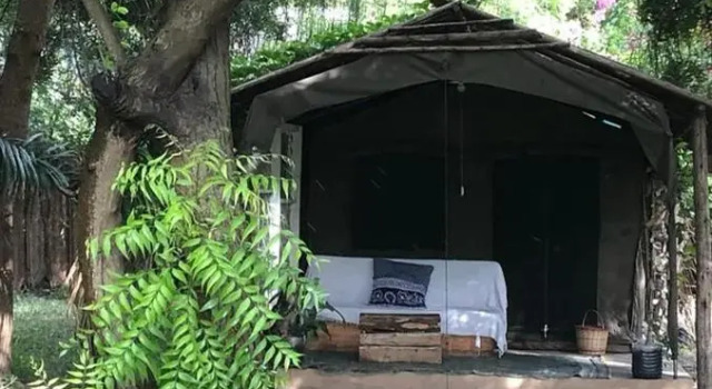 Tente Firefly Boutique Lodge