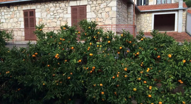Коттедж Holiday Home Leonida