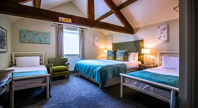 Семейный номер Superior The Wyndham Hotel
