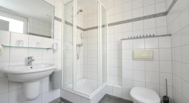 Одноместный номер Standard Insel Hotel