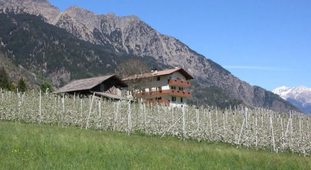 Mareinhof - Urlaub auf dem Apfelbauernhof