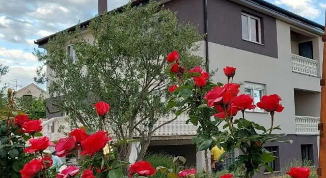 Apartments Krunes