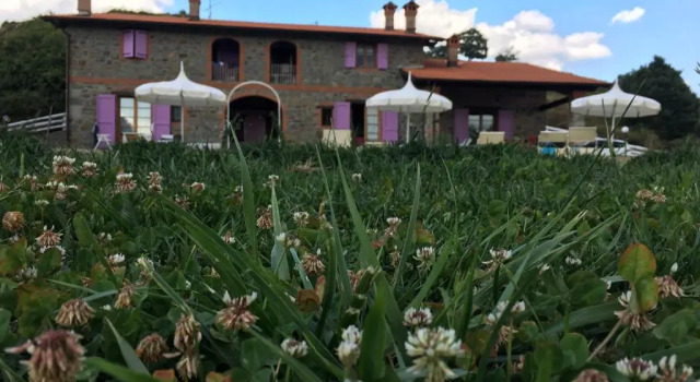 Номер Comfort Agriturismo Il Serrino