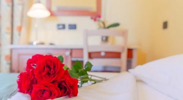 Одноместный номер Standard с красивым видом из окна Delle Rose, Hotel & Horse Riding