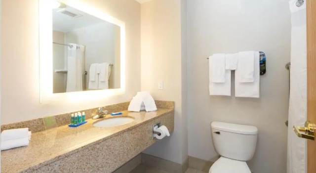 Номер Standard Holiday Inn Express Hotel & Suites Detroit-Utica by IHG