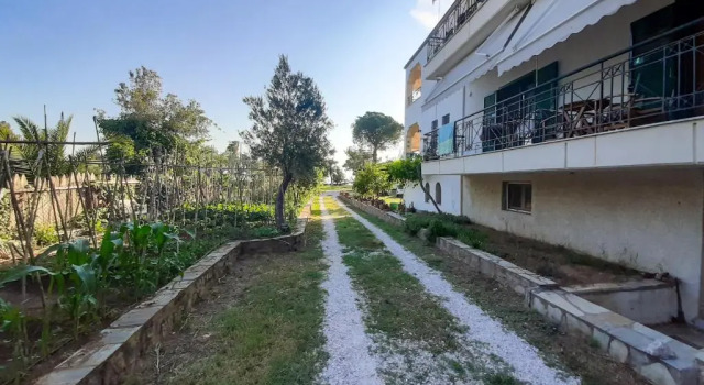 Sapfo Beach Studios, Rezerwuj Hotel Nikiti Sithonia