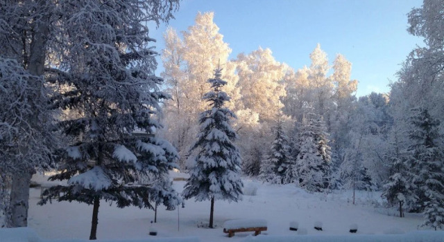 Golden Umbrella Bed and Breakfast, Rezerwuj Hotel Fairbanks Alaska