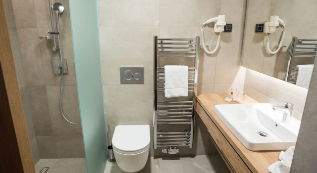 Номер Comfort Hotel Zdravilisce - Thermana Lasko