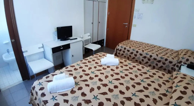 Номер Economy Hotel Sasselli