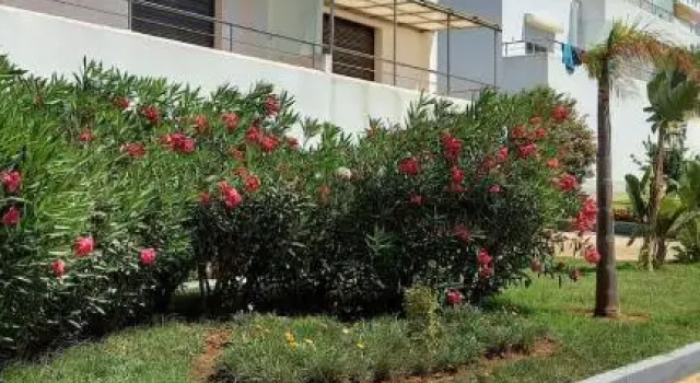 Asilah - Appartement 2 chambres - Les Jardins d'Asilah