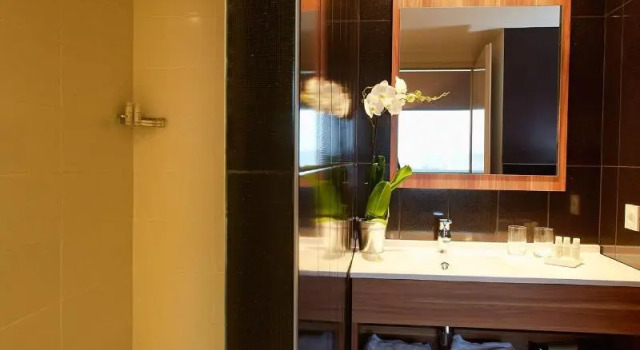 Supérieure double chambre Best Western Hotel Atrium Valence