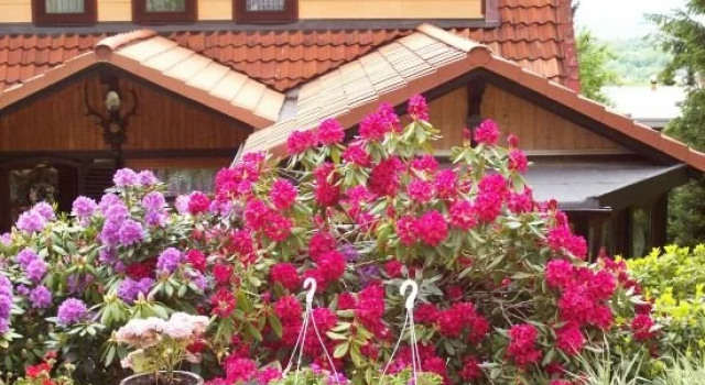 Pension Waldhaus Anita, Забронировать Отель Отели в центре Бад-Гарцбург, в центре