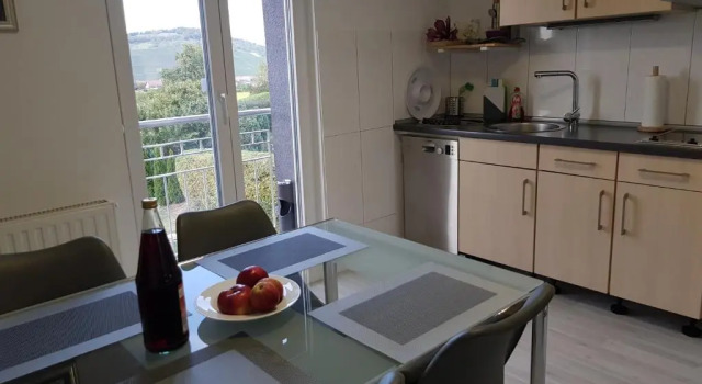 Апартаменты с 2 комнатами Apartments Metzingen Panoramablick