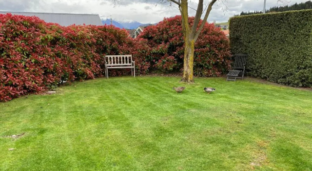 Коттедж 1 - Delightfully fresh, private home close to town