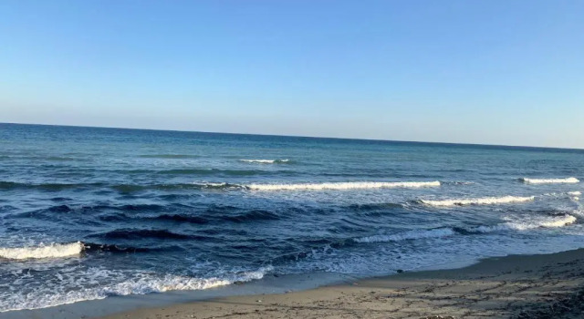 Апартаменты Studio Bord De Mer