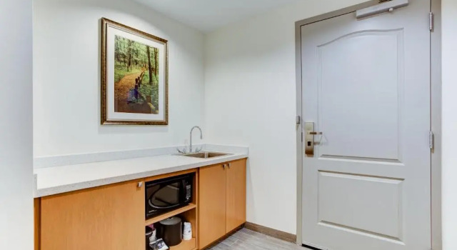 Одноместный люкс Hampton Inn & Suites Manchester, TN