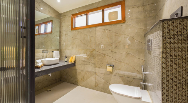 Люкс Deluxe ELIVAAS Varsha Greens 4 BHK with Pool