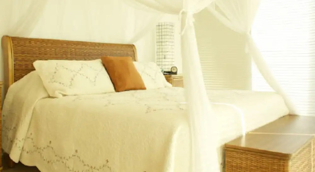 Ph Toshi, Book Apartment Hotels in Jalisco with a Pool, Swimming Pool