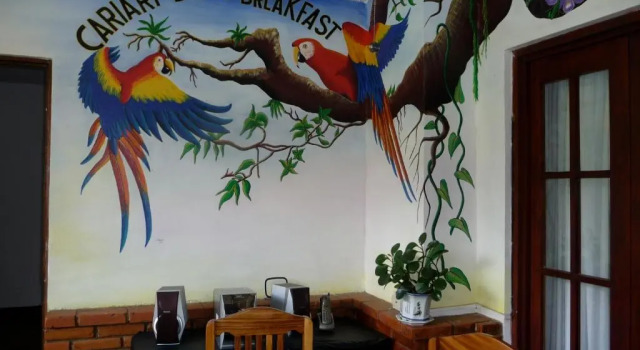 Номер Standard Cariari Bed & Breakfast