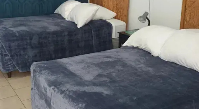 Двухместный номер Comfort Hotel Flowers