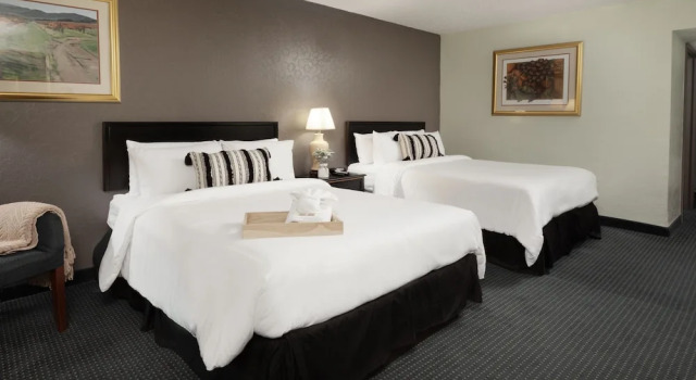 Двухместный номер Comfort The Cactus Cove Inn and Suites