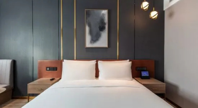 Двухместный номер Deluxe EM Wellness Kurashinohakko Lifestyle Resort