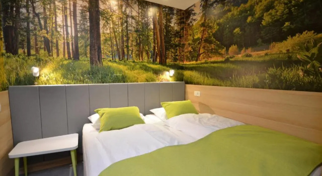 Номер Standard Hotel Emonec