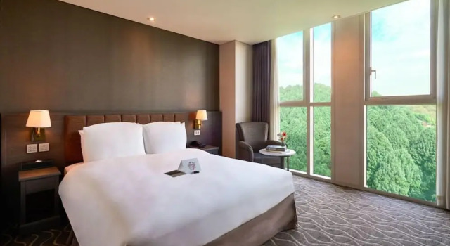 Номер Standard с видом на окрестности Hotel Square Ansan