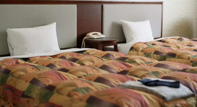 Номер Superior Gamagori Hotel