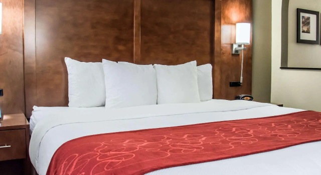 Люкс c 1 комнатой Comfort Suites University - Research Park