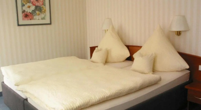Двухместный номер Standard Parkhotel