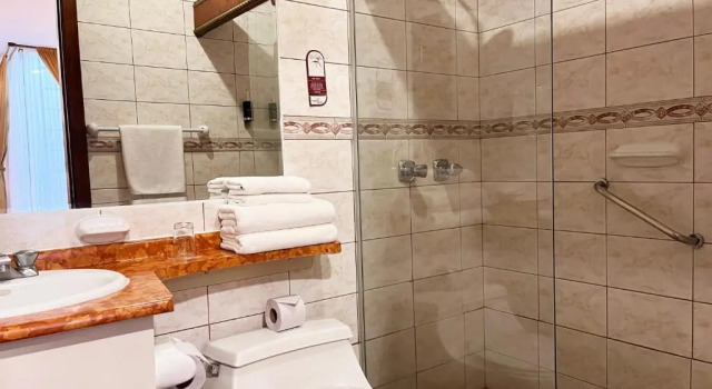 Номер Standard Hotel Patio Andaluz