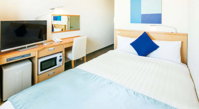 Одноместный номер Hotel Lumiere Nishikasai